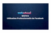 Webschool tours - Utilisation professionnelle de Facebook