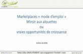 Marketplaces « mode d’emploi » Miroir aux alouettes  ou  vraies opportunités de croissance