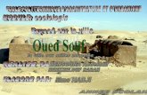 Oued souf 01