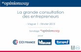 Opinionway pour CCI : Grande consultation des entrepreneurs Vague1 / Février 2015