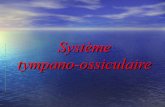 Système tympano-ossiculaire
