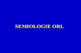 Sémiologie ORL