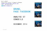 BRUNE MAGAZINE -ANALYSE ET RECOMMANDATIONS - PAGE FACEBOOK