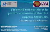 Ngoumou Nbarga - L’identité territoriale et la gestion communautaire des espaces forestiers. Cas de Djoum au Sud du Cameroun