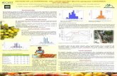 Poster55: Estudio de la diversidad del chontaduro (Batris gasipaes) consumido en Colombia