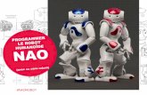 NAO robot workshop for kids #2 (french)