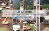 La Mikuna de la communauté Mishkyyaquillu de Shapumba,  Pérou (R. Matta)