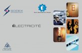 Sodex   electricity presentation
