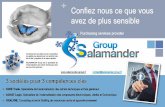 SALAMANDER Group : Intégrateur de Solutions Achats pour l'Industrie et les Services