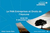 Plan d'actions national Entreprises et Droits de l'homme (Midi DD 09/12/2014)
