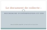 Le document de collecte Paf Académie Toulouse M Carbillet