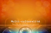 Cm6.04 part2 gestion_multiculturalite ing