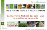 De la plante intrus à la plante intrant - conserver la fertilité des sols : une innovation surprenante - pugnac gironde 03 avril 2015