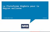 NRB - Plateforme big data pour la Wallonie