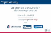 Opinionway pour CCI : La grande consultation des entrepreneurs vague3 / Juin 2015