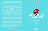 Rapport « AmbitionNumérique » du CNNum - 17.06.2015
