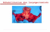 Réhabilitation du laryngectomisé