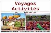 Voyage activites en inde
