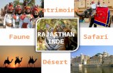 Rajasthan Inde voyage