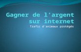 Ppdm 5 - Trafic d'animaux