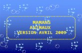 Mamans animaux012