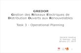 Operational Planning for Smart Distribution Grids