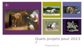 Ag aece projets 2013