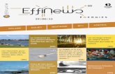 EffiNews Energies n° 80