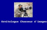 Chasseurs d images bal