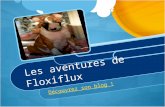 alittlebullterrier.com : découvrez les plus belles photos de mon chien Floxiflux