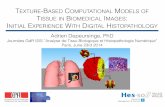 Texture-Based Computational Models of Tissue in Biomedical Images: Initial Experience With Digital Histopathology