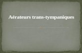 Aérateur transtympanique