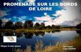 Promenade sur les bords de la Loire