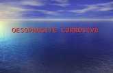 OEsophagite corrosive