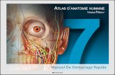 L'Atlas d'anatomie humaine de Visible Body (téléphone Android)