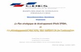 Le Plan stratégique de développement d'Haïti (PSDH) et le développement des arts, des métiers et de l'entreprise.