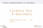 Présentation licence professionnelle ebusiness Lyon