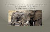 Plan de restauration de la faune en République Centrafricaine