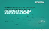 Livre blanc marketing_contenu_btob