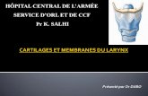 Cartilages et membranes du larynx
