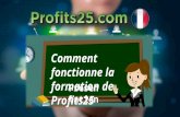 Présentation Profits25-France
