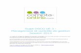 Dscg 2014-sujet-ue3-management-et-controle-de-gestion