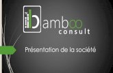 Bamboo Consult sarl - Présentation de l'entreprise