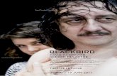Dped Blackbird