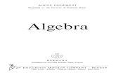 Cours d' Algebre (Godement).pdf
