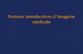2. Notions Introductives d'Imagerie Medicale - Curs 1 a Fizica Alte Metode_fr