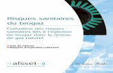 Afsset_Risques Sanitaires Injection Biogaz