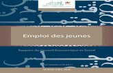 Rapport Du Conseil Economique Et Social-Emploi Des Jeune Maroc S-Vr Fr