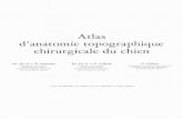Atlas Anatomie Topographique Chirurgicale Du Chien