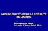 COURS_SINSIN_Brice_BIODIVERSITE (1).pdf